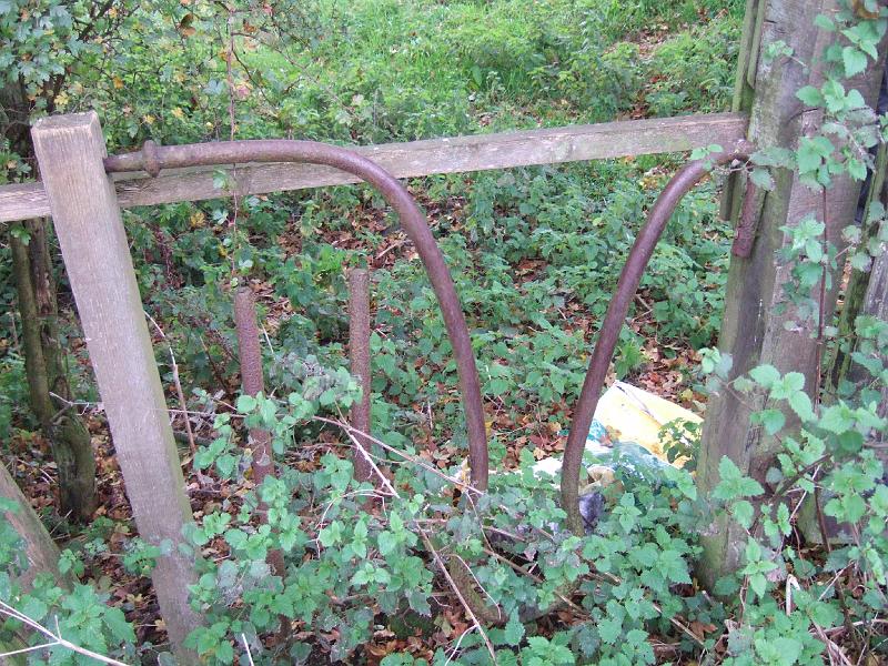DSCF2702.JPG