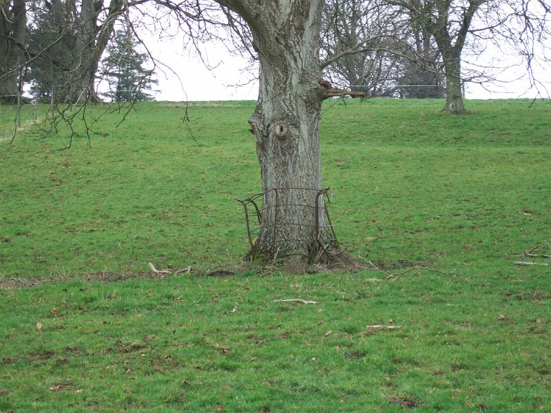 DSCF3134.JPG
