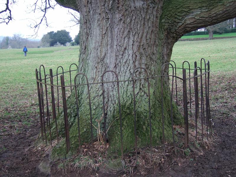 DSCF3143.JPG