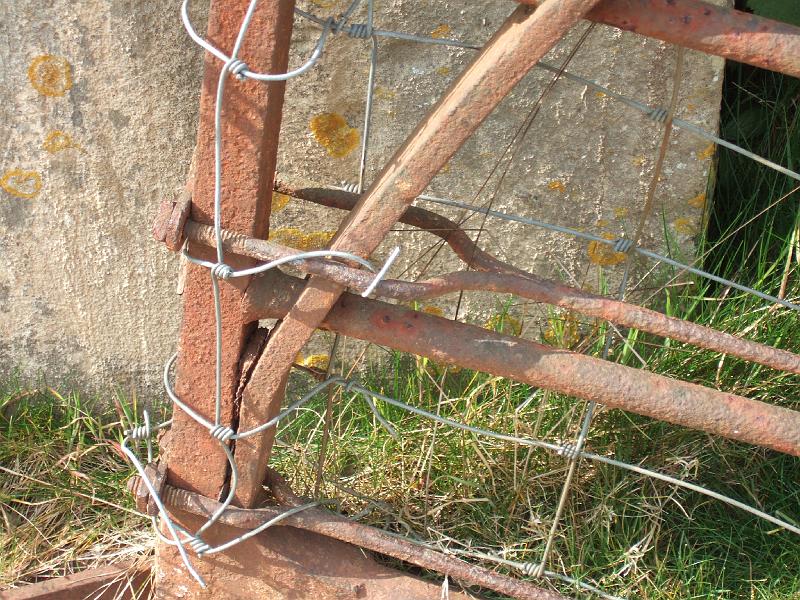 DSCF3542.JPG - Gate detail 4