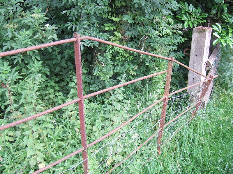 DSCF4442.JPG