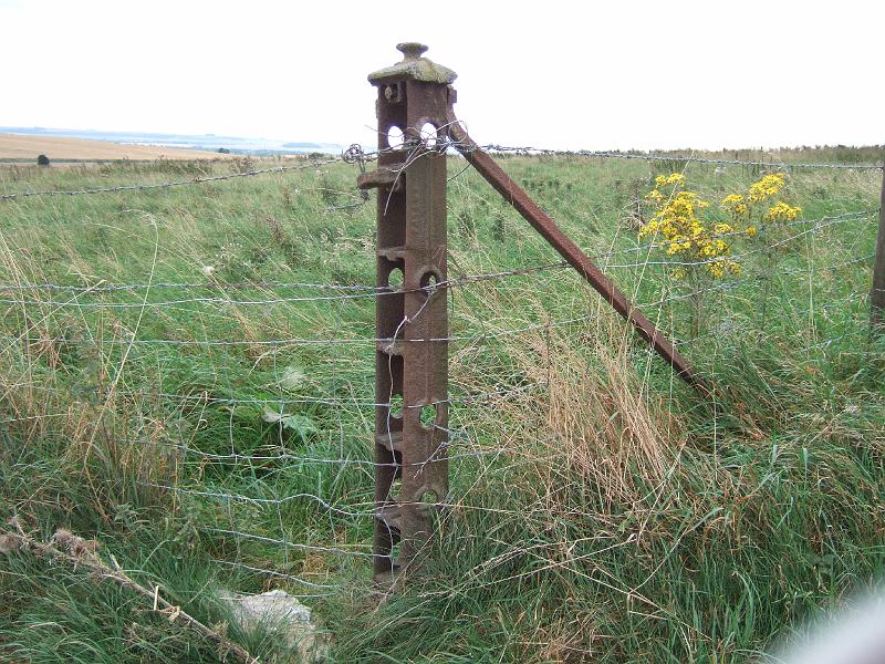 DSCF5236.JPG
