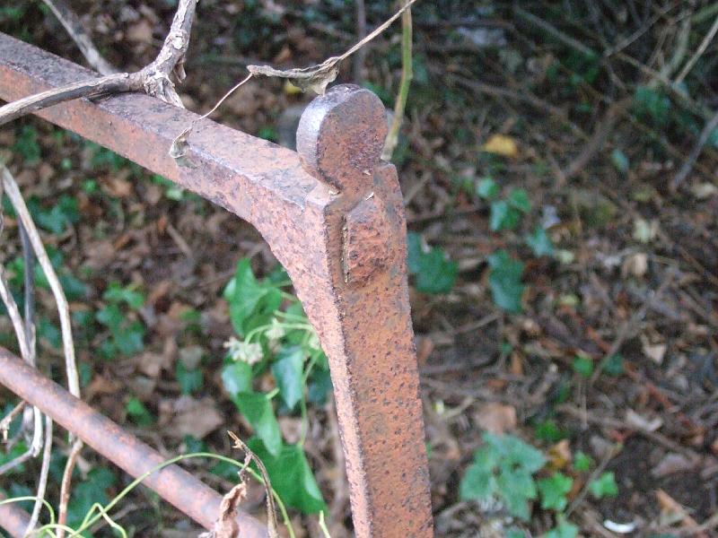 DSCF5398.JPG