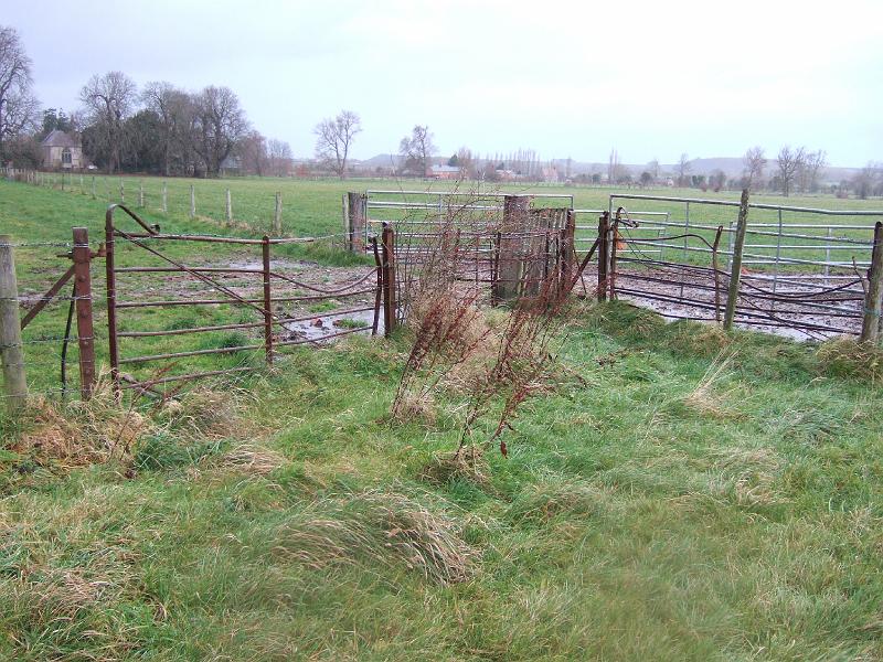 DSCF5948.JPG